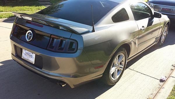 New to the Forums, New to Mustang!-1454621_10153418515430302_1222574762_n.jpg