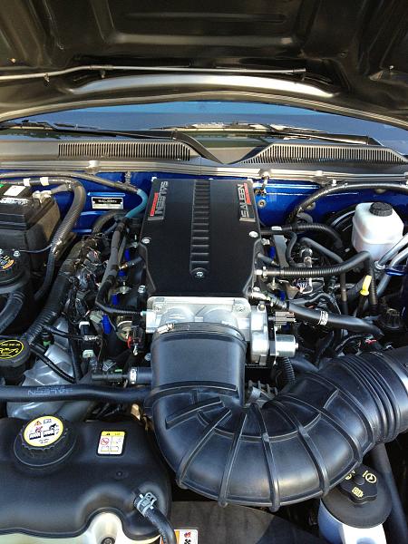 Driving Mustangs Since 1967 - from OKC-kgrhqr-rgfjycns3hubsyvy4n5r-60_57.jpg