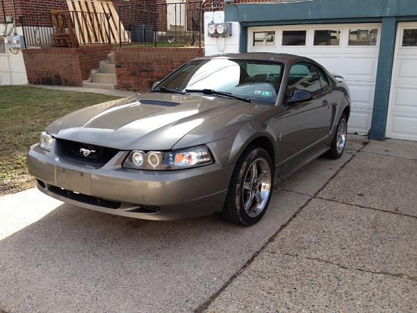 New to the mustang family-image-1137579750.jpg