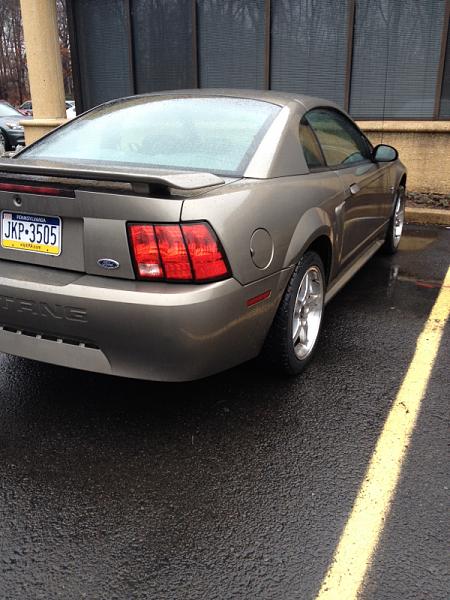New to the mustang family-image-4045429013.jpg