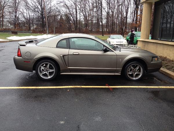 New to the mustang family-image-410029506.jpg