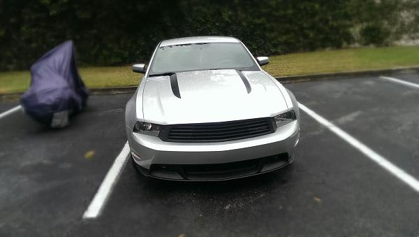 New Mustang in the stable.-1400614_10201347535625721_1500159222_o.jpg