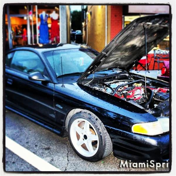 Hello all from miami-img_20130708_015219.jpg