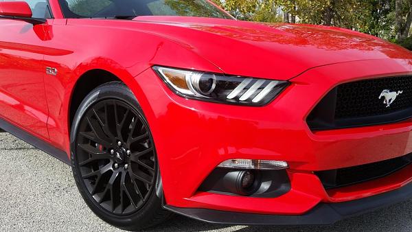 Newbie from Chicago-front-1-1-.jpg