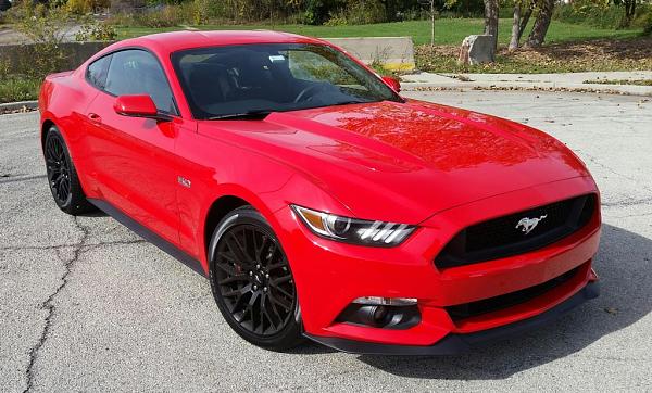 Newbie from Chicago-front-1-2-.jpg