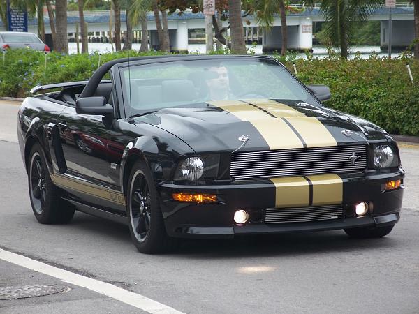 Owner of an 06 and 07 Shelby GT-H Coupe and Convertible-miami_20071119_030_original.jpg