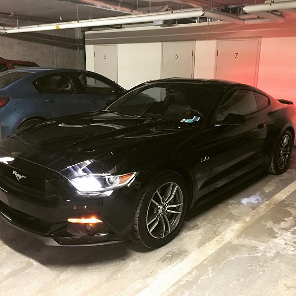 2015 Mustang GT Premium-img_3743.jpg