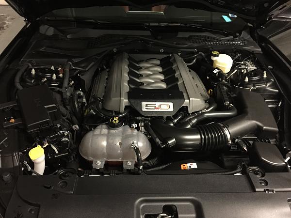 2015 Mustang GT Premium-img_3764.jpg