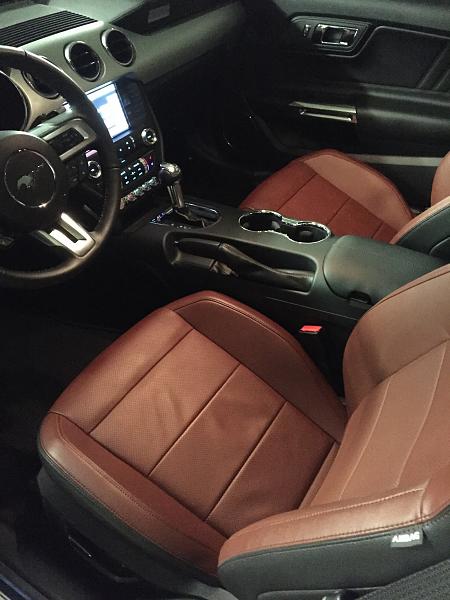 2015 Mustang GT Premium-img_3766.jpg