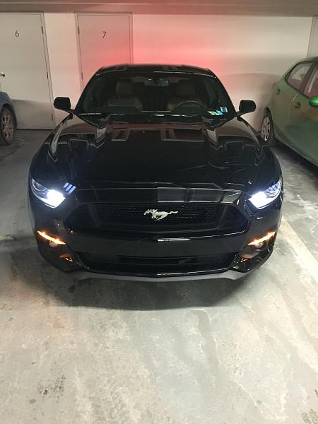 2015 Mustang GT Premium-img_3741.jpg