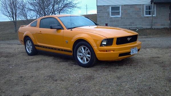 Hello from the Frozen Tundra-09-mustang.jpg