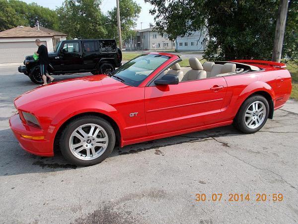 New From Winnipeg Canada-mustang-2.jpg