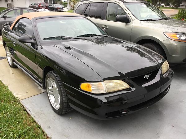 New mustang owner in South Fla-image.jpeg