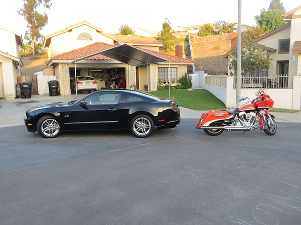 Harleycharlie from San Diego-002.jpg