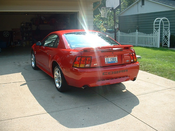 New Member but selling my Cobra after 13 years-091403-009.jpg