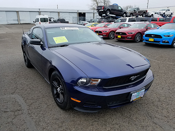 New Member, new (new to me) Mustang Owner-2017-01-28-pony1.jpg