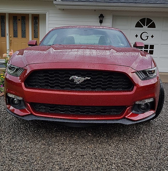 New from Pennsylvania-13900230_10153777882157215_7953403427528315773_n.jpg