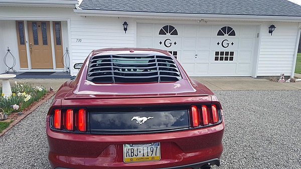 New from Pennsylvania-20170414_145410.jpg