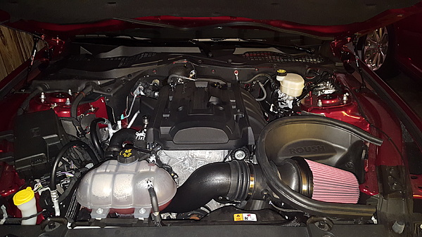 New from Pennsylvania-20170401_151110.jpg