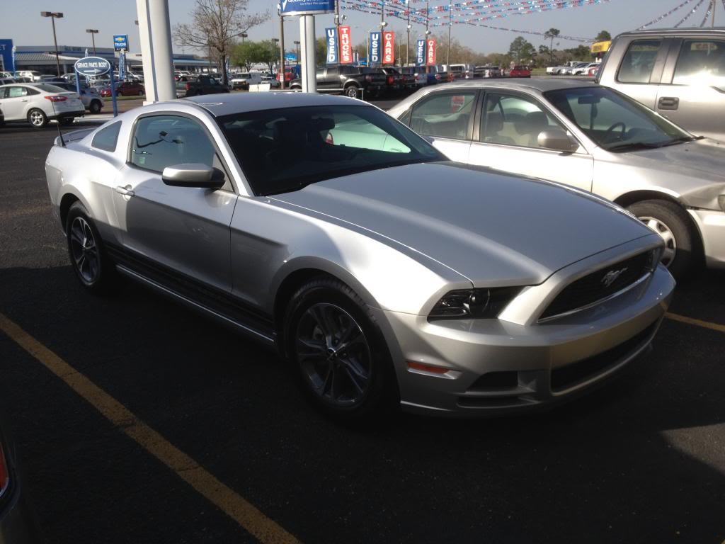 Name:  MyMustang-IMG_0627.jpg
Views: 26
Size:  79.9 KB