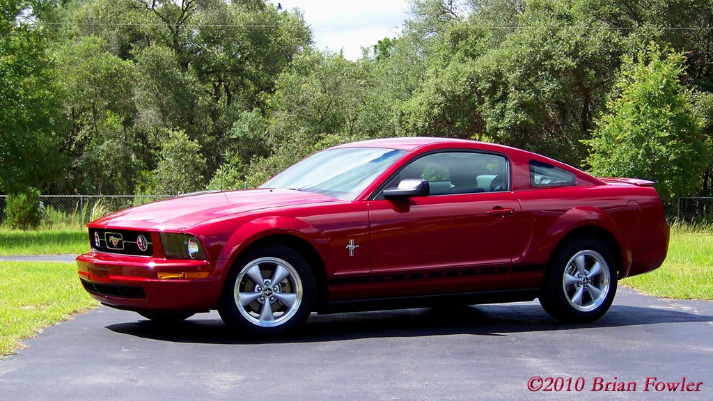 Name:  08mustang.jpg
Views: 26
Size:  174.6 KB