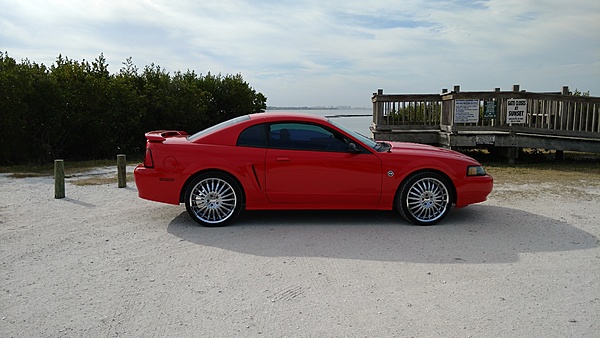 New to forum from Florida-caratpark.jpg