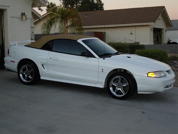 Another Old Newbie-our-1996-cobra-convertible.jpg