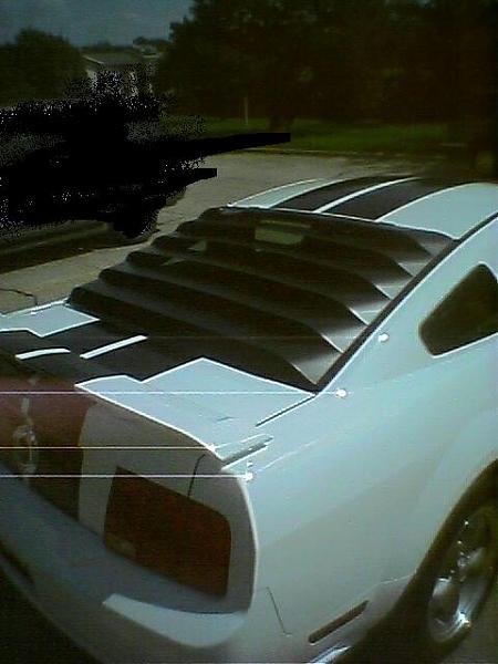new member '06 Mustang GT w/stripes-angle-2.jpg