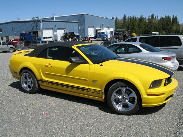 Newbie from Toronto Area!-pauls-mustang.jpg
