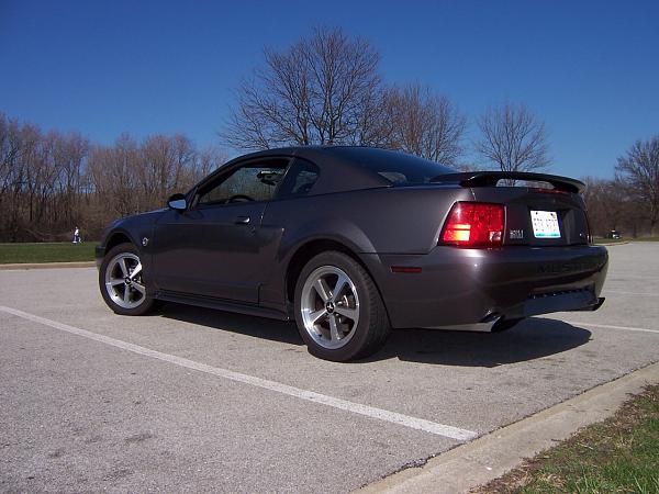 New guy in IL-busse-rear.jpg