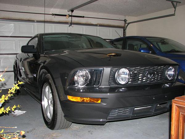 I'm new here, but I do not drive a mustang-mustang-003a.jpg