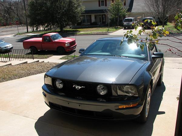 I'm new here, but I do not drive a mustang-mustang-045.jpg