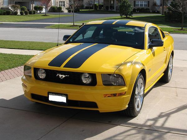 New Guy Joining-tn_img_new.jpg