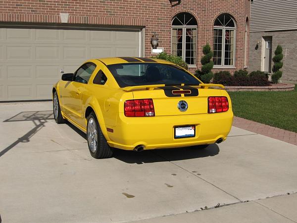 New Guy Joining-tn_img_new2.jpg