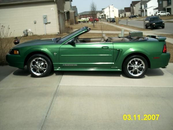 my electric green 01 mustang-imag0279.jpg