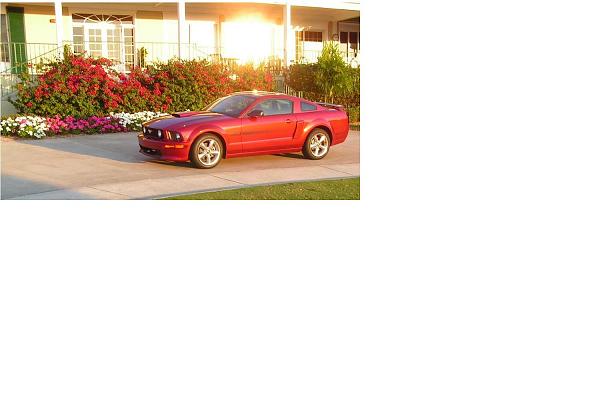 New Member-picture-338.jpg