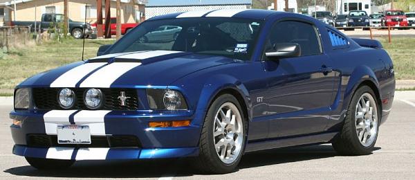 New member-stang-01a.jpg