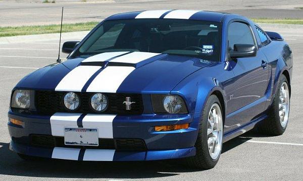 New member-stang-02a.jpg