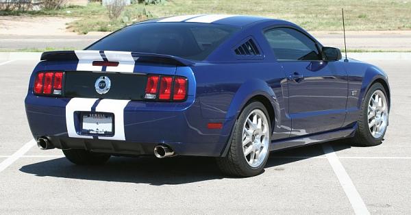 New member-stang-03a.jpg
