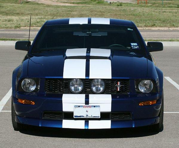 New member-stang-04a.jpg