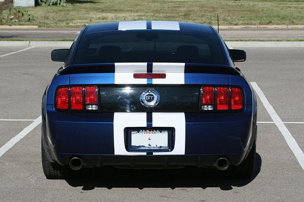 New member-stang-05a.jpg