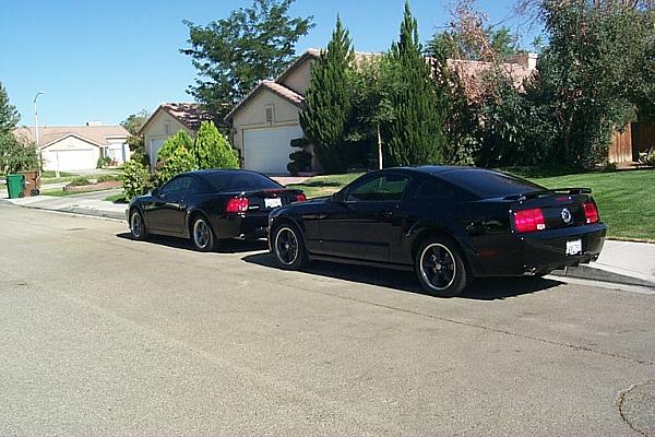 New to this site-our-mustangs-018.jpg