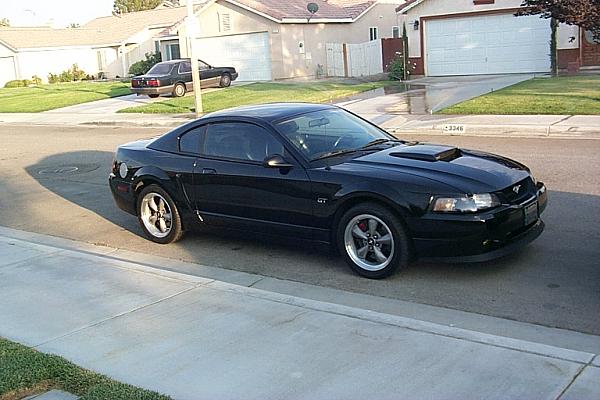 New to this site-our-mustangs-010.jpg