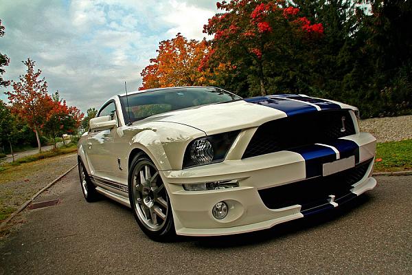 Another Shelby from Overseas-3.jpg