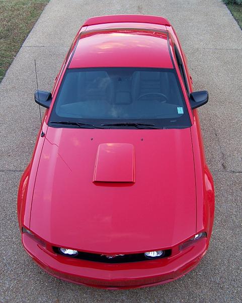 Got my 2008 Torch Red GT-top-shot.jpg