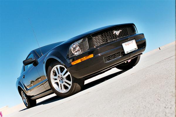 Another pony in the forum-del-amo2.jpg