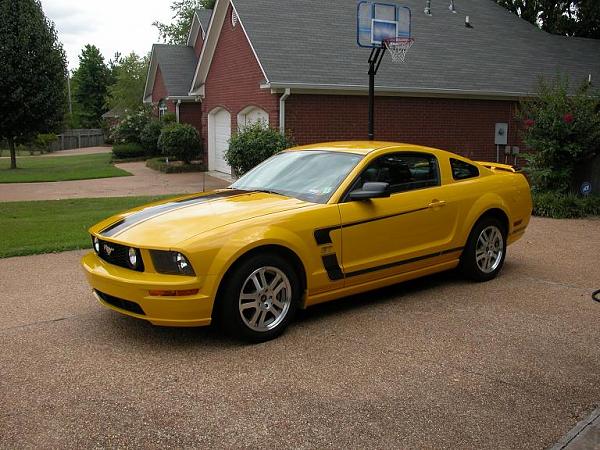 New to Mustang Source Forums-dscn0014s.jpg