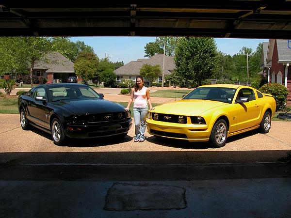 New to Mustang Source Forums-mustang-1s.jpg