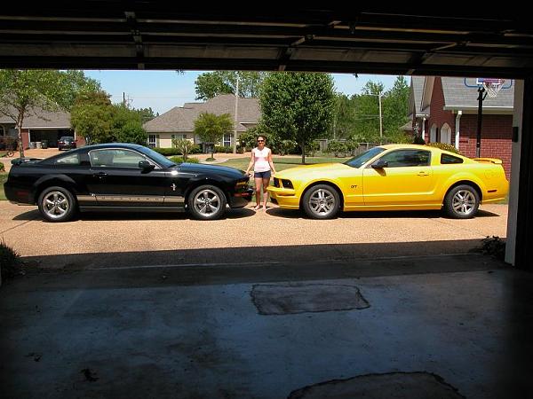 New to Mustang Source Forums-mustang-2s.jpg