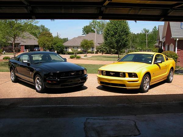 My Two Mustangs-dscn0019s.jpg